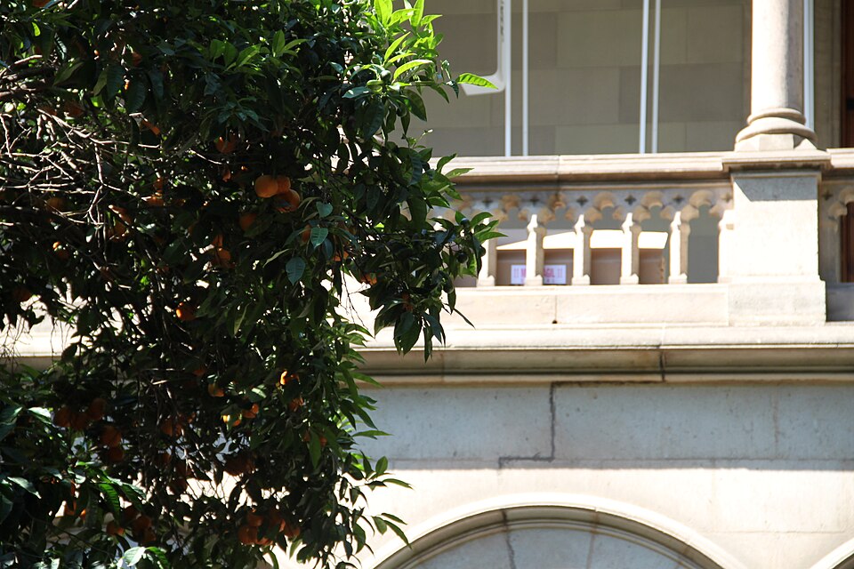 Foto de Universitat de Barcelona