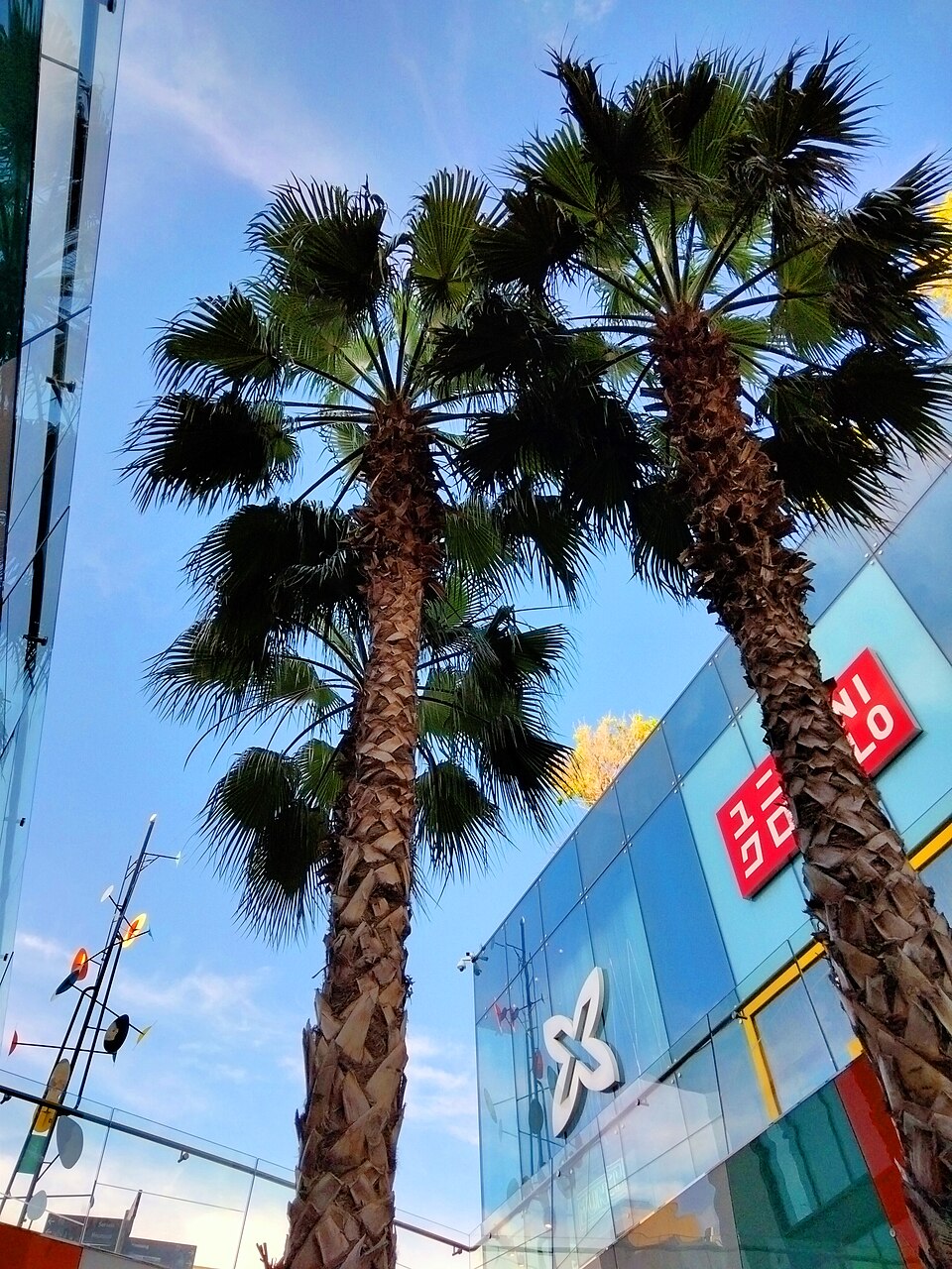 Foto de Westfield Glòries